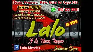 Lalo Y Su Nueva Imagen // La Abeja Miope _ Producciones Gaspar 