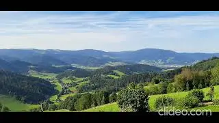 Bells - Susanne Pauschinger