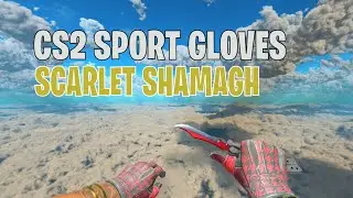 Sport Gloves Scarlet Shamagh Field-Tested | CS2 Skin Showcase #696