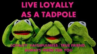Loyal Friend - There for You | Live Loyally as a Tadpole