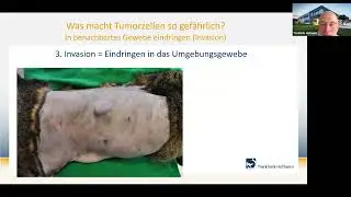 Tumorerkrankungen bei Hunden - Dipl. ECVIM-CA(Onc). Prof. Dr. Martin Kessler