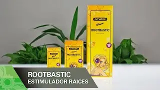 Rootbastic de Atami