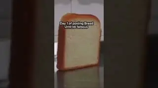 Day 1 of posting bread until I&rsquo;m famous#bread #funny #humor #centralcee