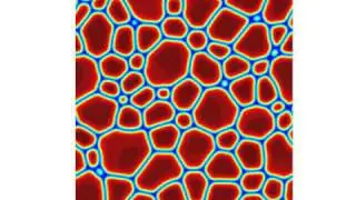 Phase Field Modeling simulation for Ostwald ripening