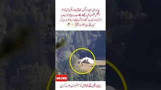 White Dragon Found in China #internetsensation #shortsfeed #viralvideo ##dragon #legend