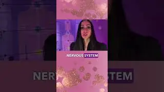 The Power of Oxytocin: How Love 💗 Physically Affects Us #lovehormone #oxytocin #loverelationships