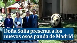 La Reina Sofía da la bienvenida a los nuevos osos panda del Zoo de Madrid