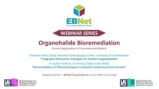 Organohalide Bioremediation &ndash; Current Approaches in Environmental Biotech