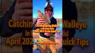 🎣 Quick Tips Catching Spring Walleye in Wisconsin Dells! 🌊 #shorts