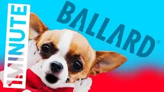 Ballard Power Aktie 85% BILLIGER kaufen? - Ballard Power Aktienanalyse in 1 Minute
