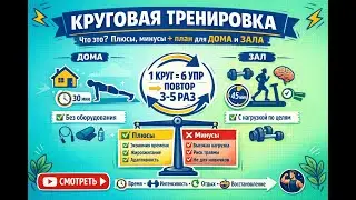 Круговая тренировка — лучший формат для сжигания жира? Плюсы, минусы и готовый план