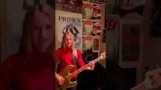 Primus 🦍 #bassistsofyoutube #primus