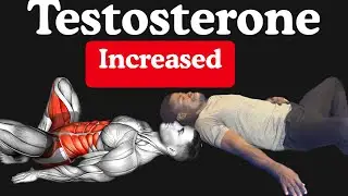 Increase Testosterone | Kegel Exercise pelvic floor muscles.