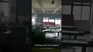 Packing line for e-liquid pillow bag packing and cartoning, machines are in production.