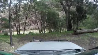 Wild Cherry Tree Campground - Alpine NP - VIC