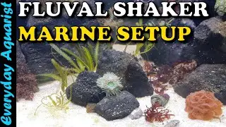 FLUVAL SHAKER 252 УСТАНОВКА для аквариума с морской водой | С лавовыми камнями, кораллами и макроводорослями