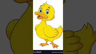 Ducks sleep open one eye  #facts @THERAJVLG @FactsMine @MakeFactsOf