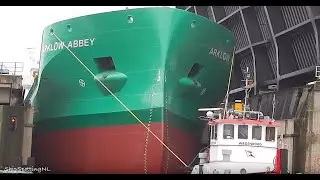 Will Humongous (120 m) 'ARKLOW ABBEY' ✅ Fit Throught? - #1184NL