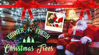 Gower fresh Christmas tree farm vlog November 2021. with special guest SANTA CLAUS!!
