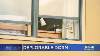 Students In All-Female Cal Dorm Complain Of Mice, Bed Bugs, Broken Appliances, No Hot Water
