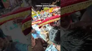 739WA SHAHI SANDAL SHARIF 💐 31 AUGUST 2025 #khuldabad #qawwaliyan #urs #live #shorts #sandal #ziyart