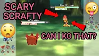 The Scary Scrafty! (Pokemon Showdown Random Battles Blitz) (High Ladder)