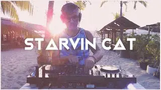 STARVIN CAT - Progressive & Melodic Vocal House - Sunset DJ Set at La Principal Puerto Escondido 🇲🇽