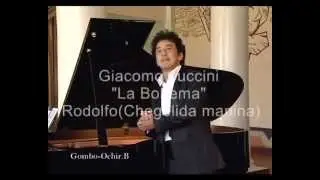 Giacomo Puccini  La Boheme  Rodolfo's Aria  Gombo Ochir