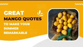 Great Mango Quotes to Make your Summer Remarkable 🥭