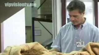 ДРУЗЬЯ И ПАРТНЁРЫ О ВИЖЕН