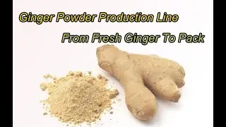 Ginger Powder Production Line Process Steps Show