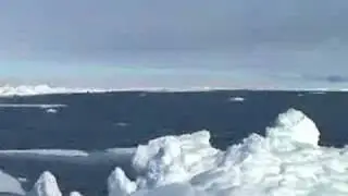 Ward Hunt Ice Shelf Break-off / July 22, 2008
