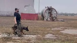 Less Lethal and K9&rsquo;s