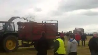 dunmore single chop harvester demonstration & show 2012