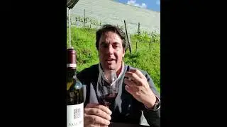 2017 Vallado Reserva Field Blend Review with Francisco Ferreira