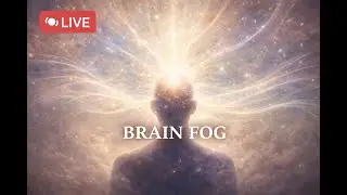 🌞 Brain Massage to Stop Brain Fog