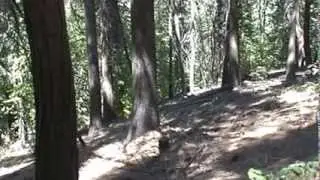 Lot 41 Rockwell Road, Cedarpines Park, CA 92322