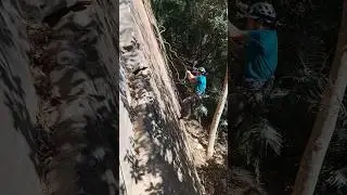 Petzl: Bailing (backing off) a Sport Climbing Route w/ a Prusik Knot backup while lowering FALL TEST