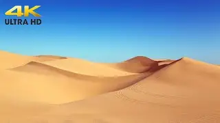 Lie Down and Rest on the Sand of the Dunes - 4K Video