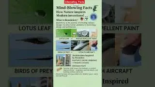 #spider #engineering #Biomimicry #Nature Solved It First! 😱 Biomimicry Will Blow Your Mind #viral