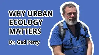 AWI H.U.B. Talks Series - Gad Perry: 