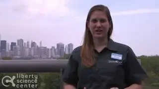 What is an Estuary?