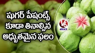 Health Benefits Of Guava Fruit, It Can Control Blood Sugar Levels | V6 Life