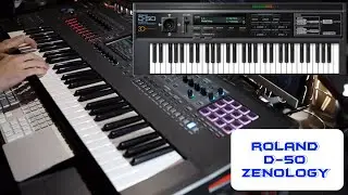 Roland D-50 Zenology [Classic Sounds] | No Talking |