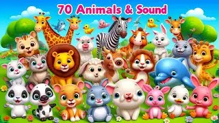 70+ Wild And Sea Animals For Kids | Learn Animals Sounds And Names | Jungle Animals