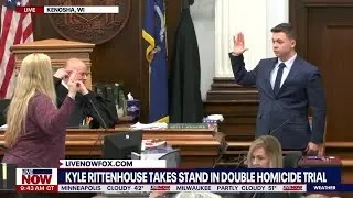 Kyle Rittenhouse breaks down in tears while testifying in double homicide trial (RAW VIDEO)