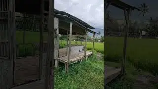 Pesona Alam.garut jl.ibrahim aji