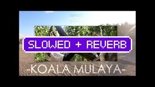 01099    KOALA MULAYA (slowed+reverb) 🔥 💥