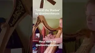 This song by @sailnorthmusic is a lovely earworm 😊 #harp #celticharp #seashanty #harpmusic