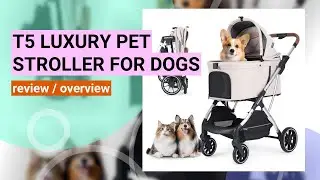 Reviewing the T5 Luxury Pet Stroller: Perfect for Medium Dogs & Cats!